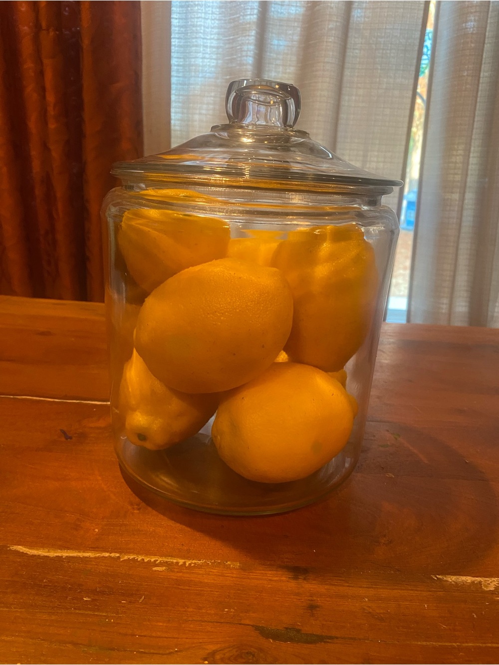 Large Apothecary Jar with Lid - Filled With Lemons